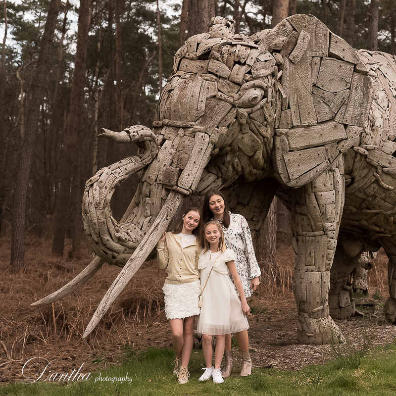 kids bij olifanten in domein Verbeke Foundation